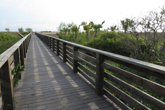 Packery Channel Park